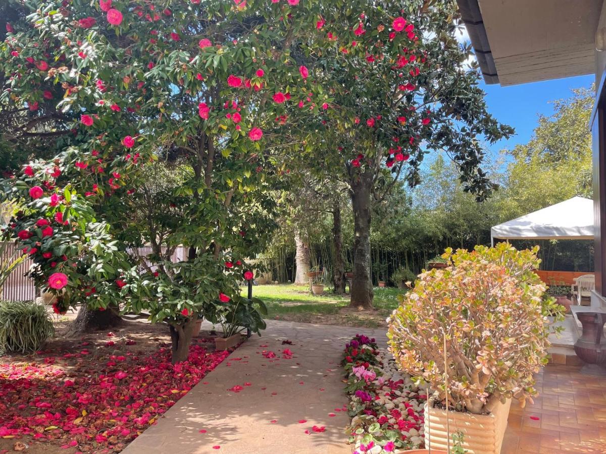 Appartamento In Villa Con Giardino Vicino Al Mare Bella Farnia 외부 사진