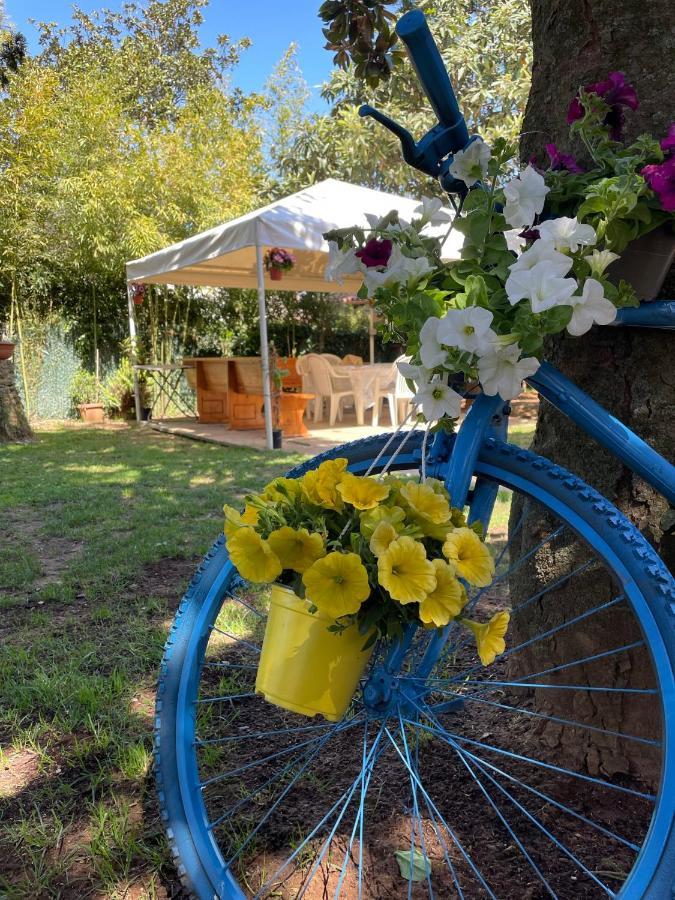 Appartamento In Villa Con Giardino Vicino Al Mare Bella Farnia 외부 사진