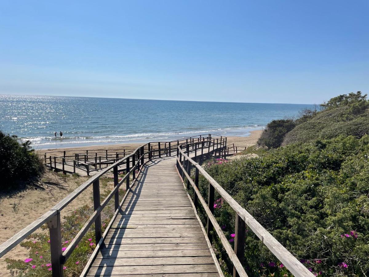 Appartamento In Villa Con Giardino Vicino Al Mare Bella Farnia 외부 사진